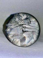 WhatsApp Image 2025-10-30 at 11.11.55 (2) WhatsApp Image 2025-10-30 at 11.11.55 (2)